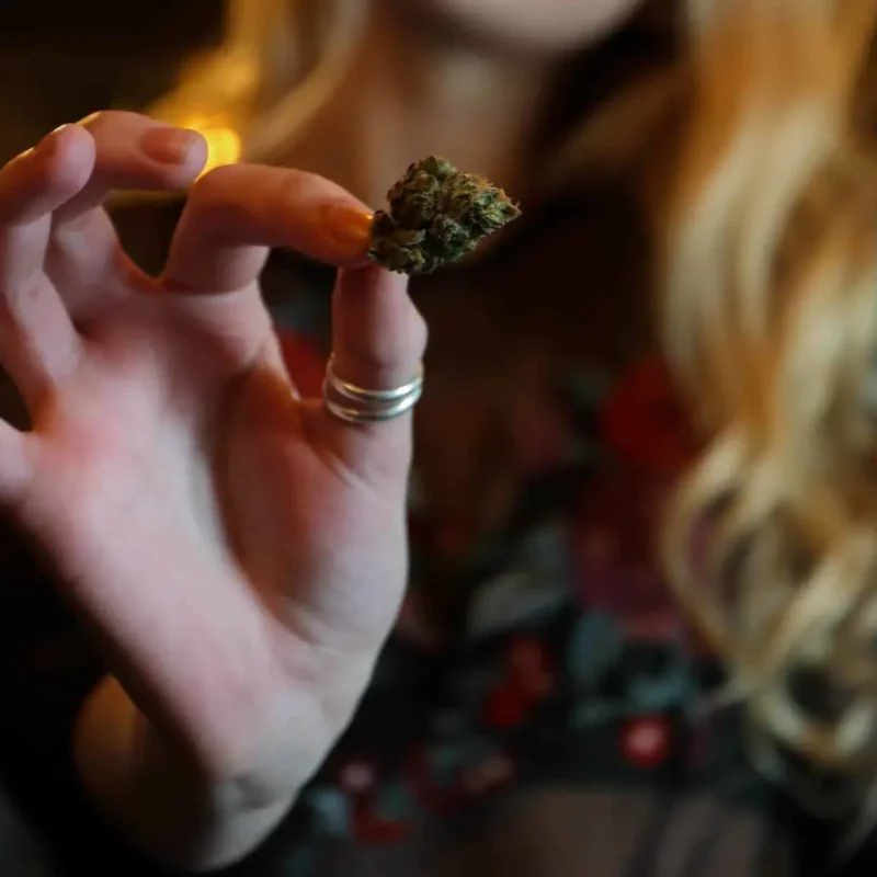 Girl holding a cannabis leaf