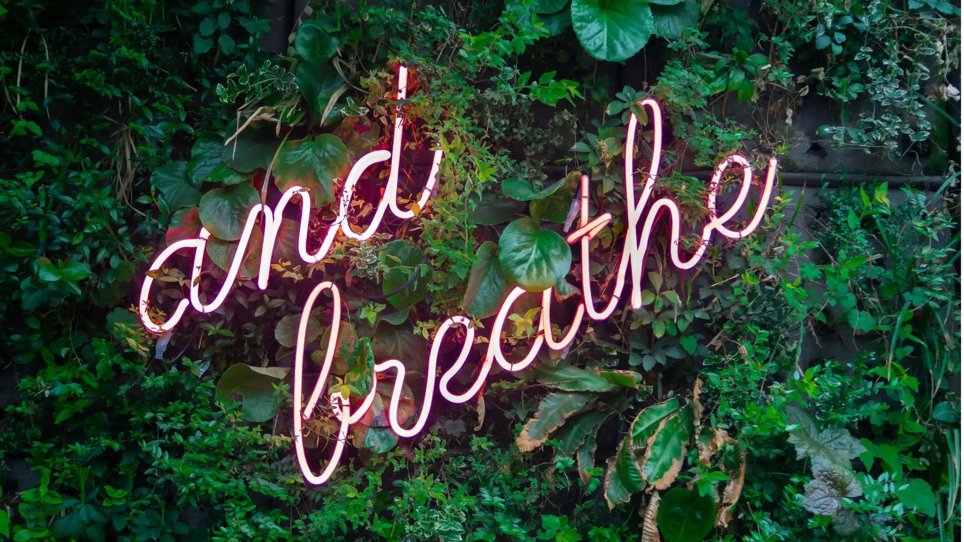 and breathe sign with leaves background