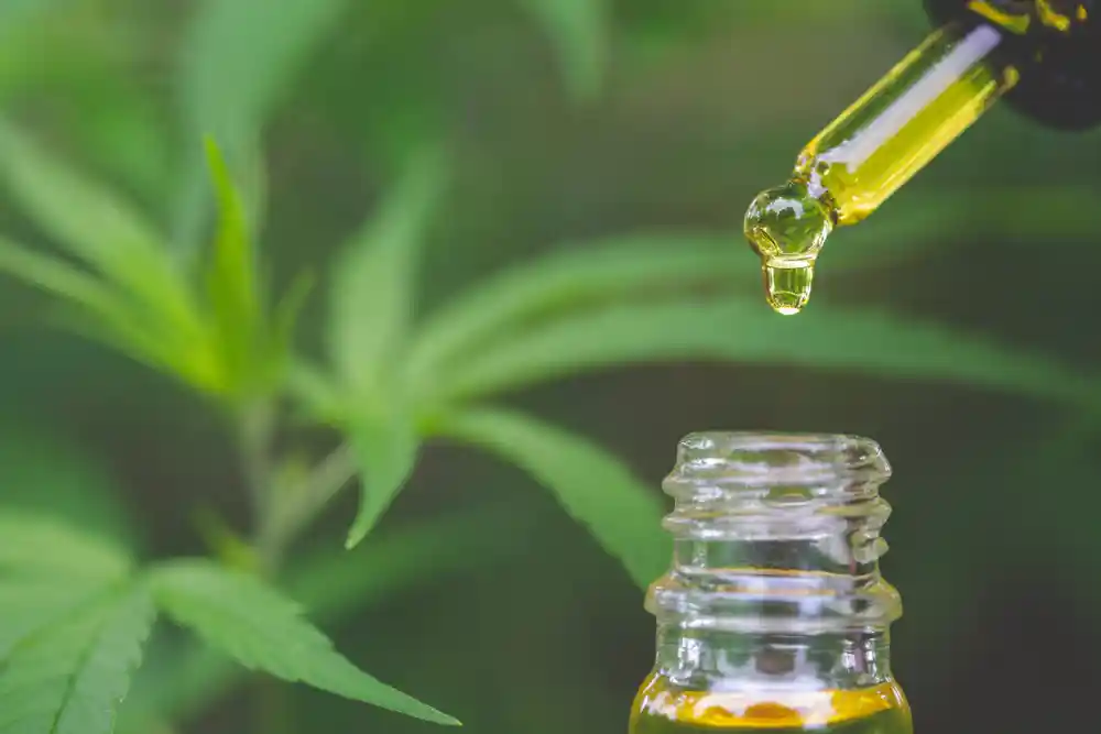 What is the Difference Between Full-spectrum and Broad-spectrum CBD?