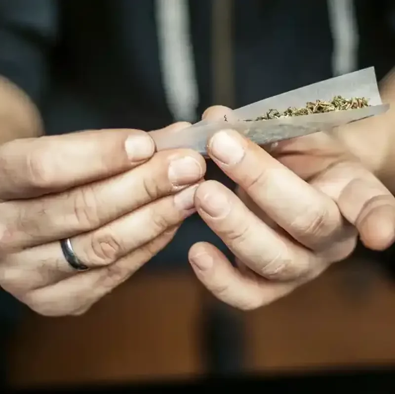 Making a cannabis cigar