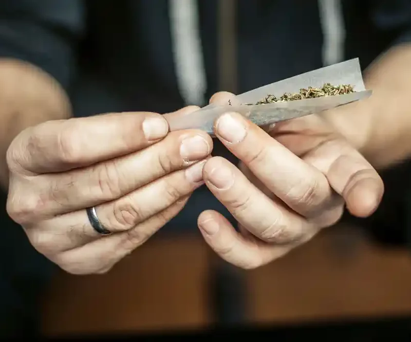 Making a cannabis cigar