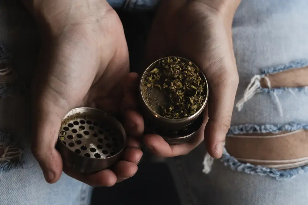 How to Choose the Best Grinder for Cannabis Flowers