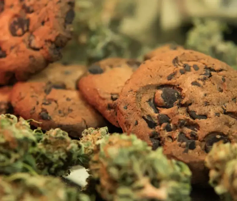 Fresh baked cookies with cannabis buds