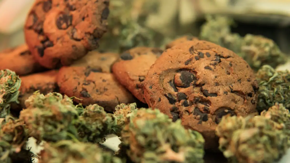 Discover the World of Do-Si-Do Cannabis