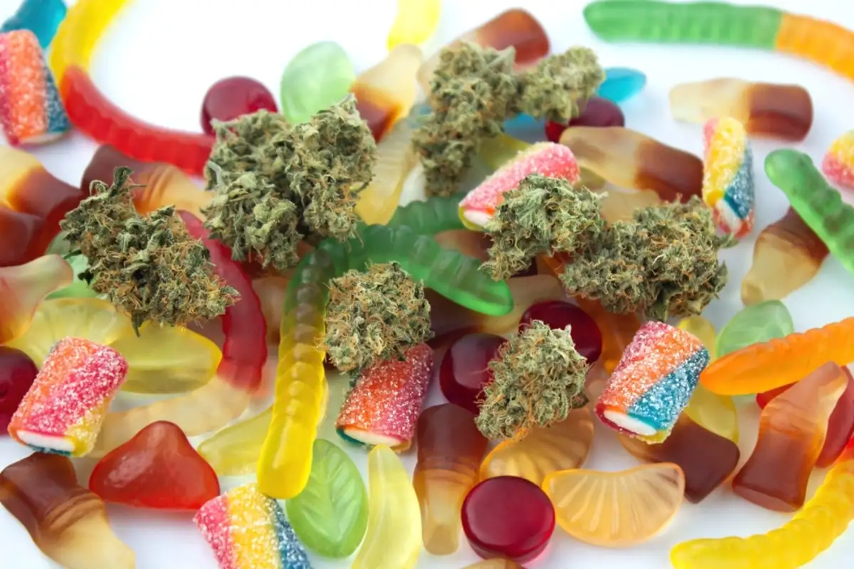 Edible Gummy: How to Make, Store, and Enjoy