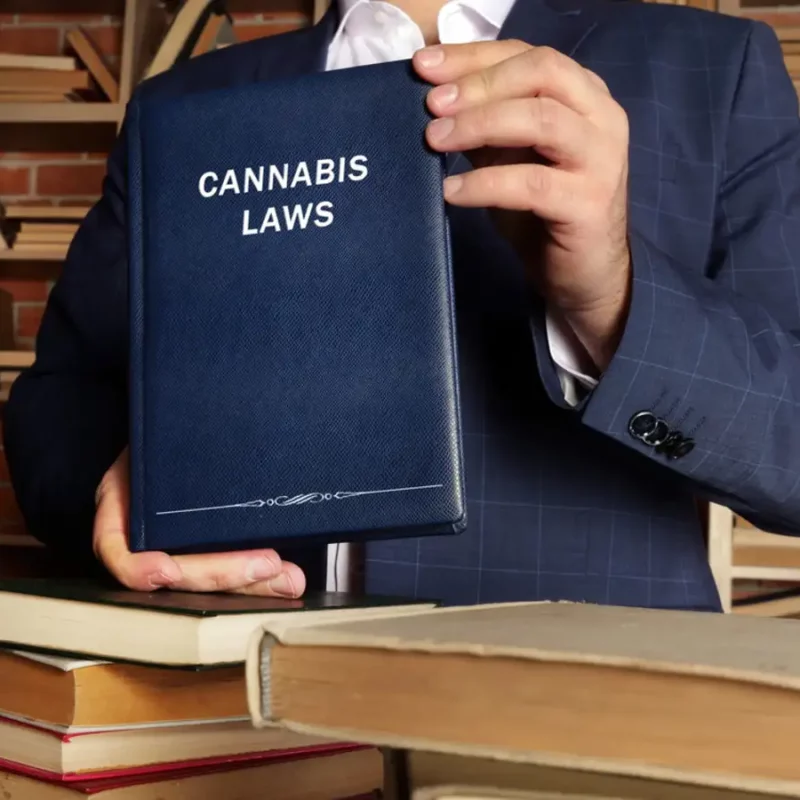 Man holding a cannabis laws book