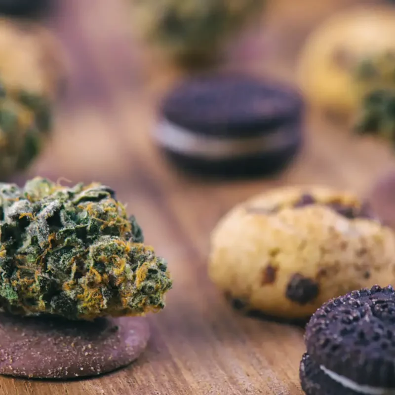 Background with cannabis nugs over infused chocolate chips cookies