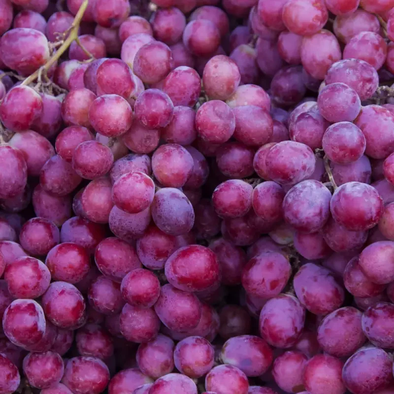 Bunch of Grapes on the table