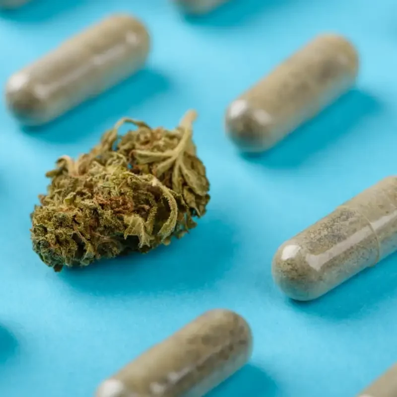 CBD cannabis flower bud among capsules pattern