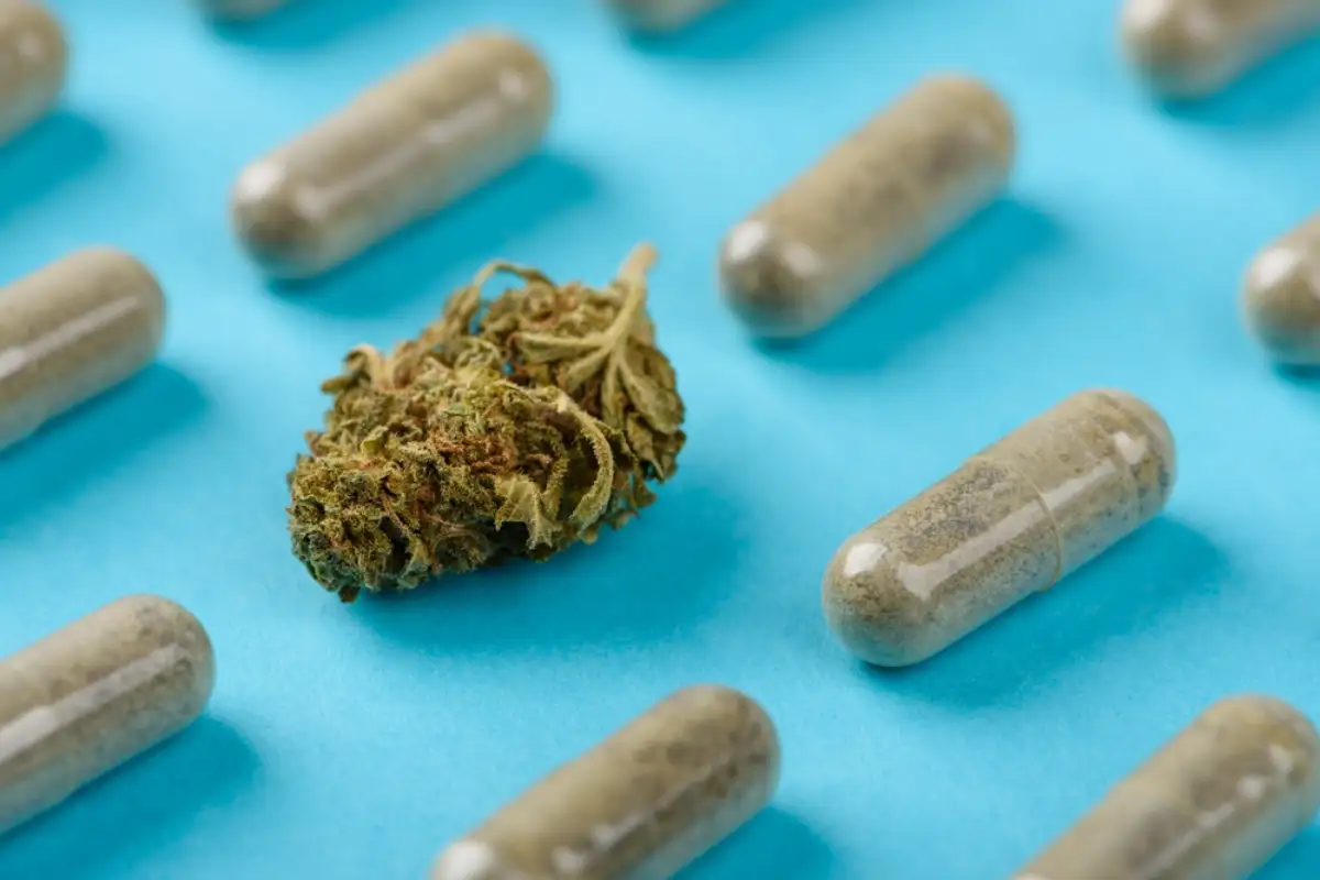 Adderall and Cannabis: Know the Benefits and Risks