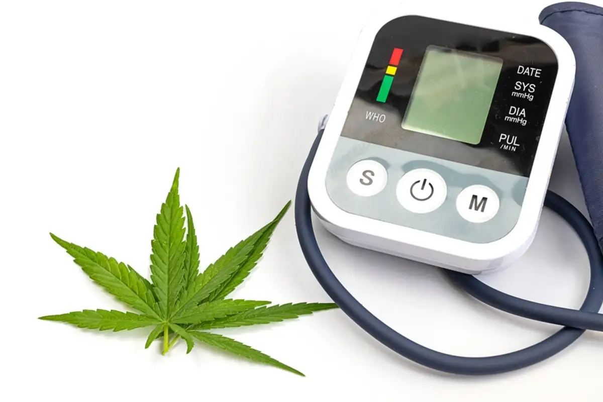 Cannabis and Blood Pressure Equipment