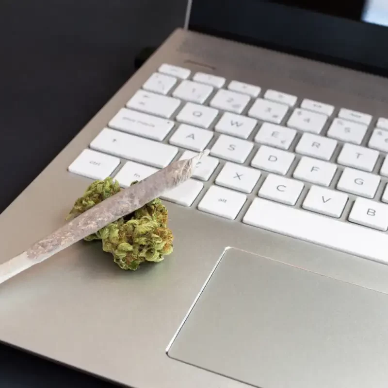 Cannabis and Laptop