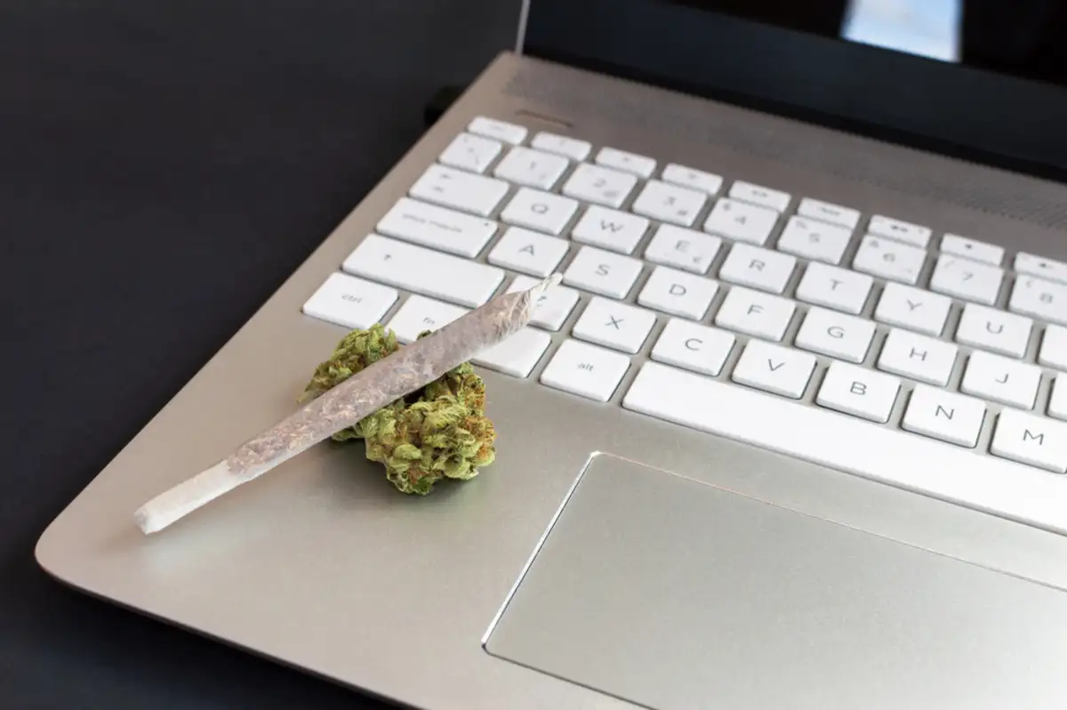 Everything You Need to Know About Buying Cannabis Online