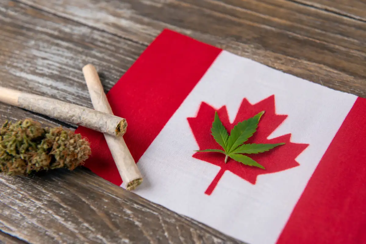Cannabis buds and Flag