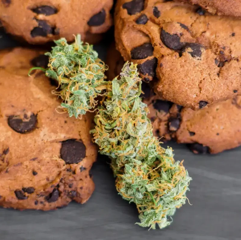 Cannabis with Cookies on side