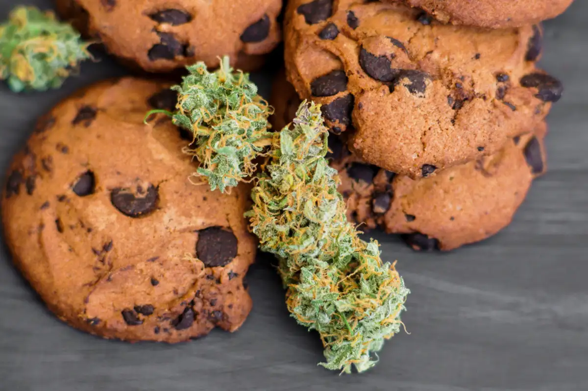 Can You Really Eat Cannabis? The Pros and Cons