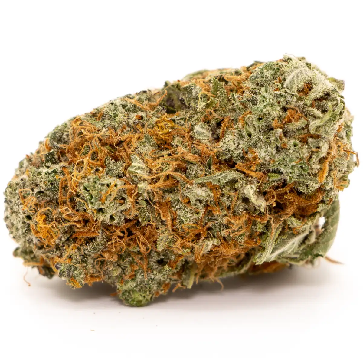 Close-up of Girl Scout Cookie