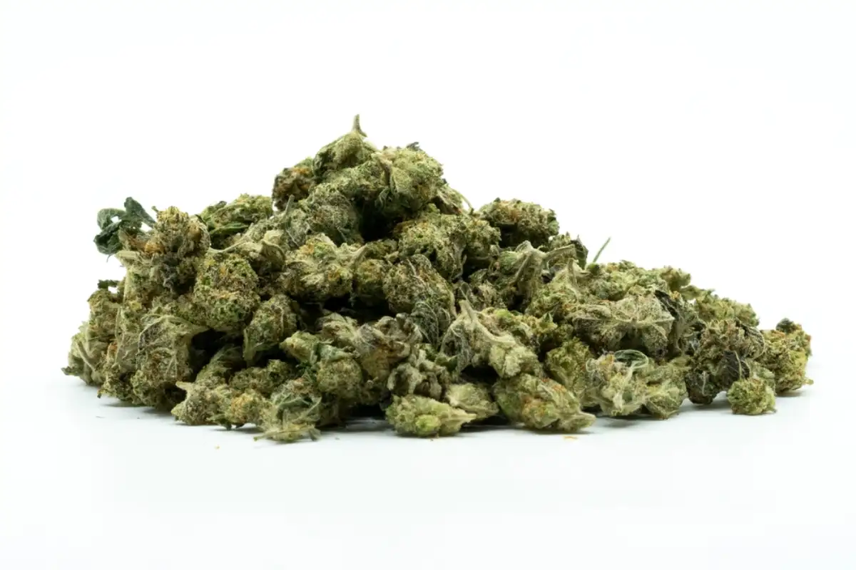 Close up of White Runtz Strain Popcorn Nugs Cannabis Flower