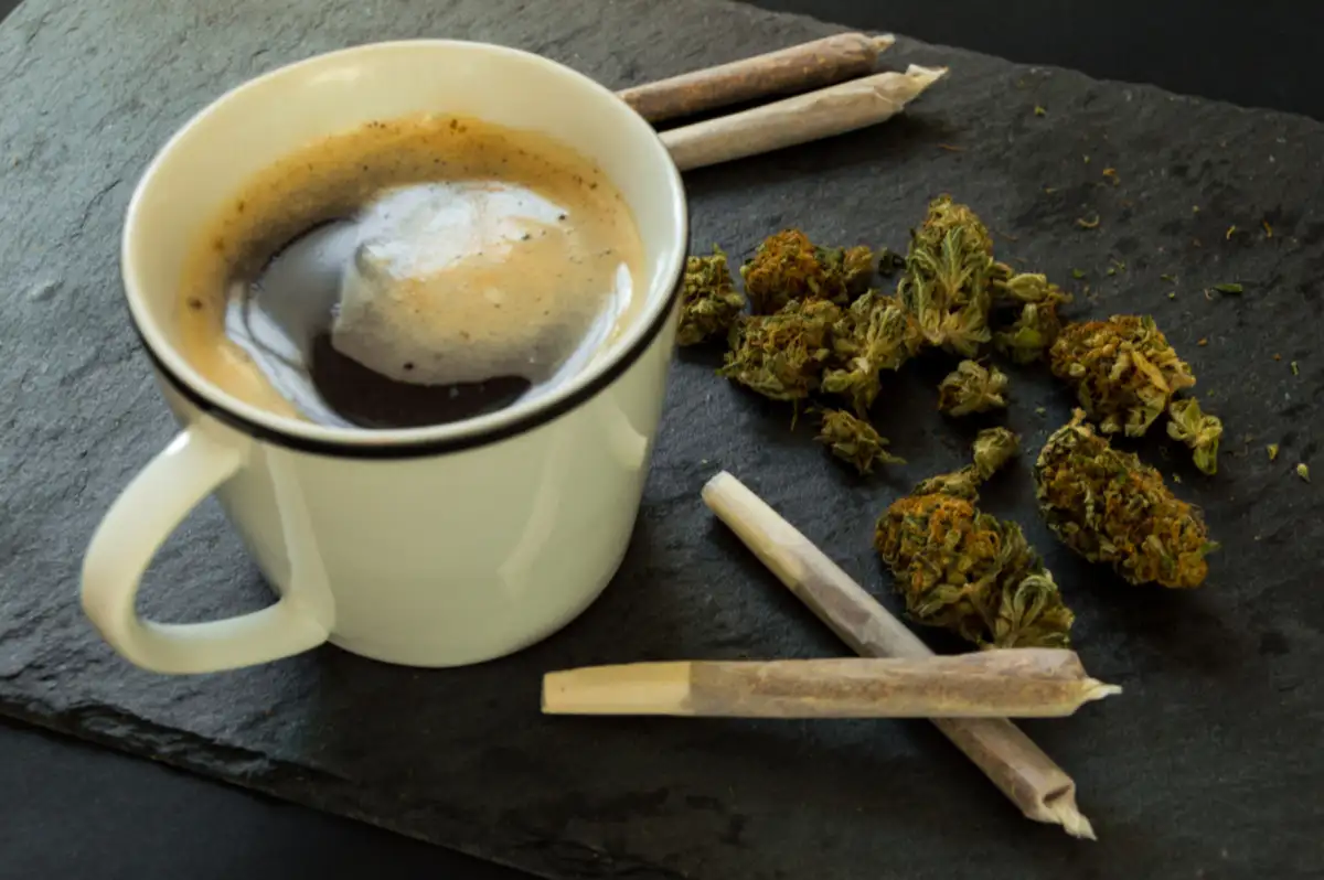 Cannabis and Coffee: Benefits, Risks, & Everything In Between