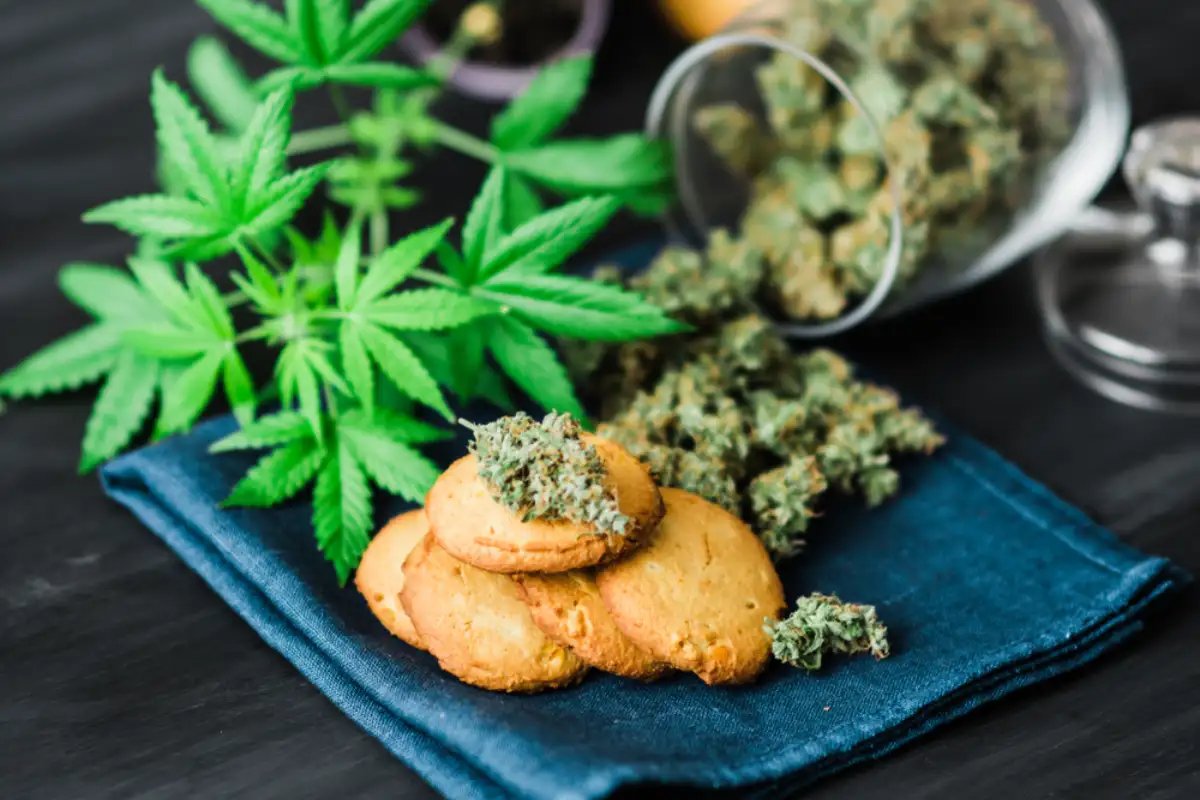 Cookies with CBD cannabis and buds of marijuana on the table