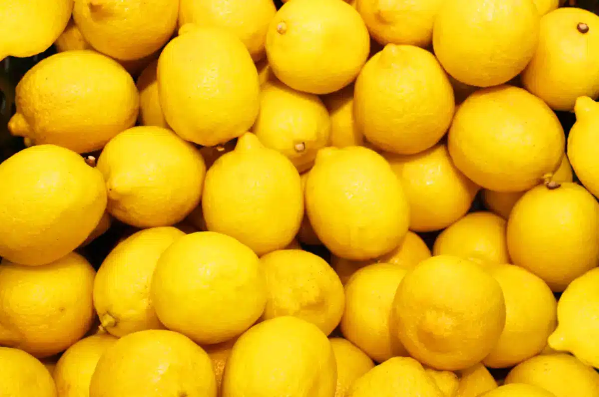 Electric Lemon Strain – Characteristics, Benefits & Tips