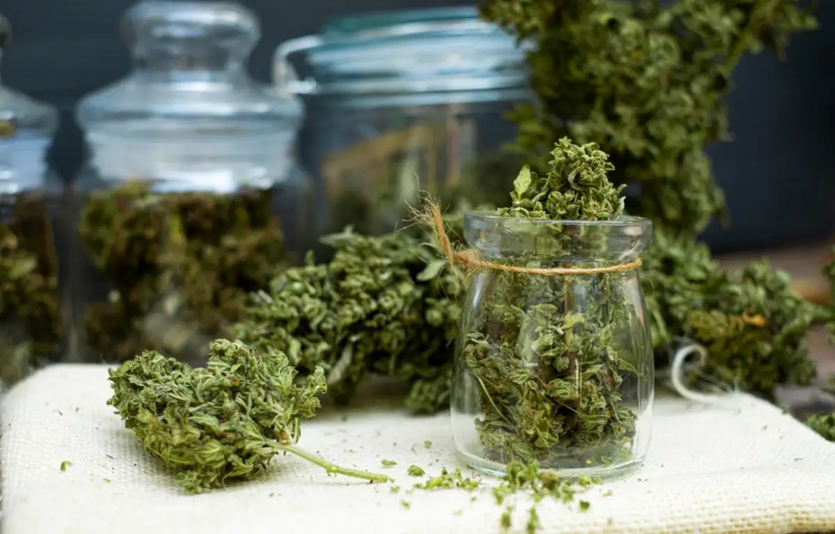 Raw Cannabis on Small Jar