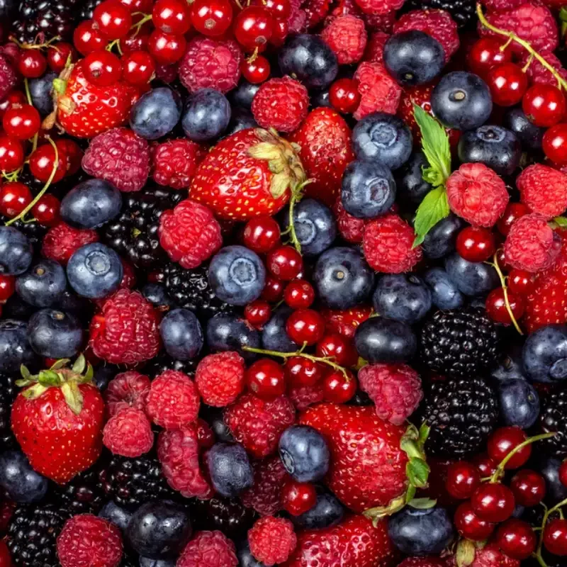 Various fresh summer berries backgrounds