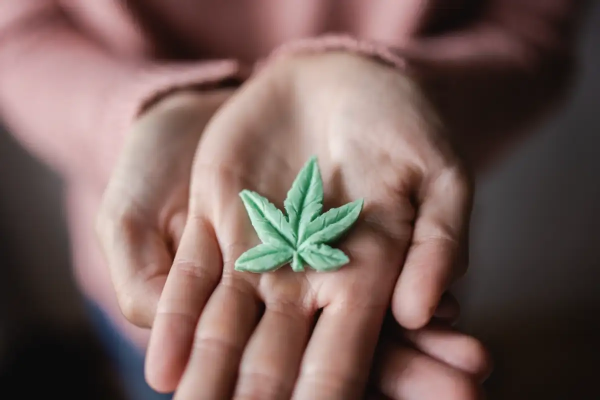 Woman Hands holding edible cannabis leaf