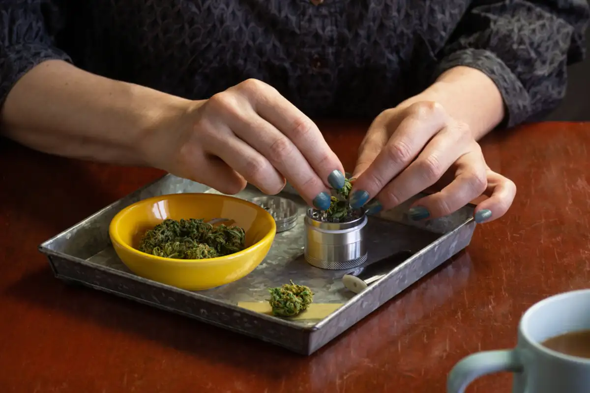 Woman preparing cannabis on grinder