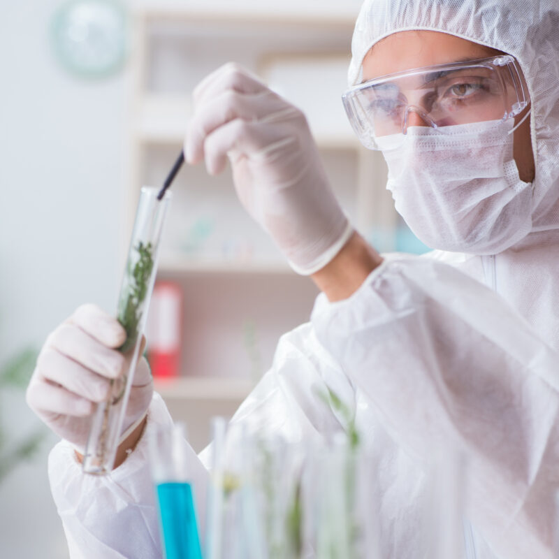 Biotechnology Scientist Chemist Working In Lab