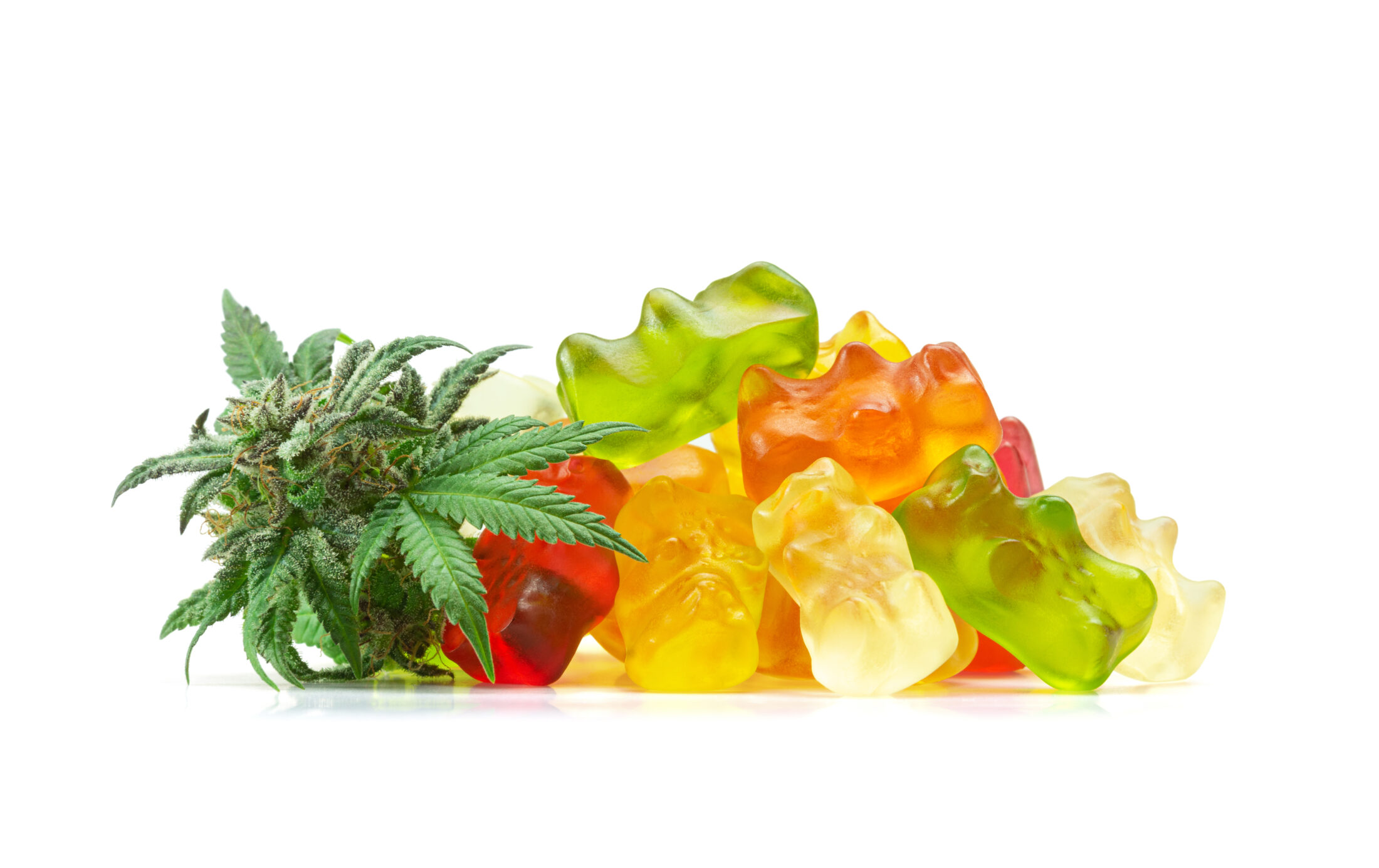 Gummy Bear Medical Marijuana Edibles