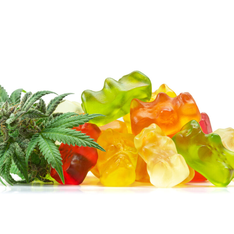 Gummy Bear Medical Marijuana Edibles