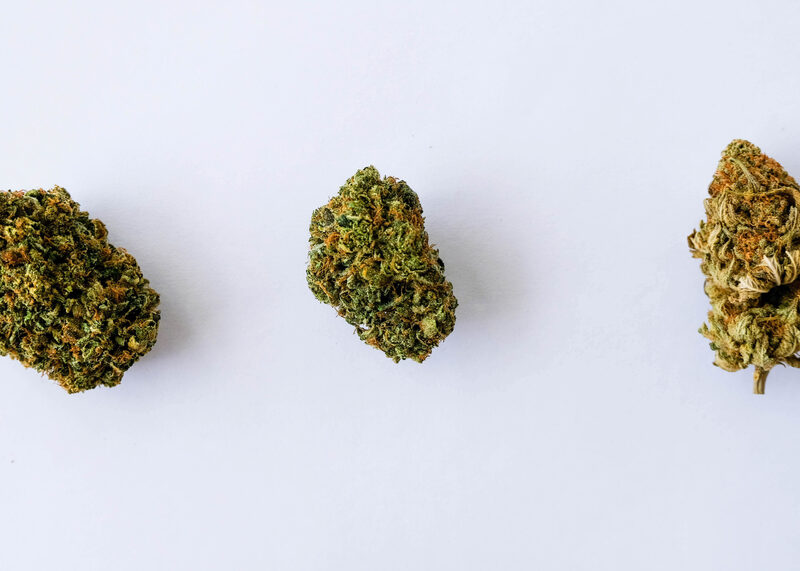 Types of Cannabis Strains