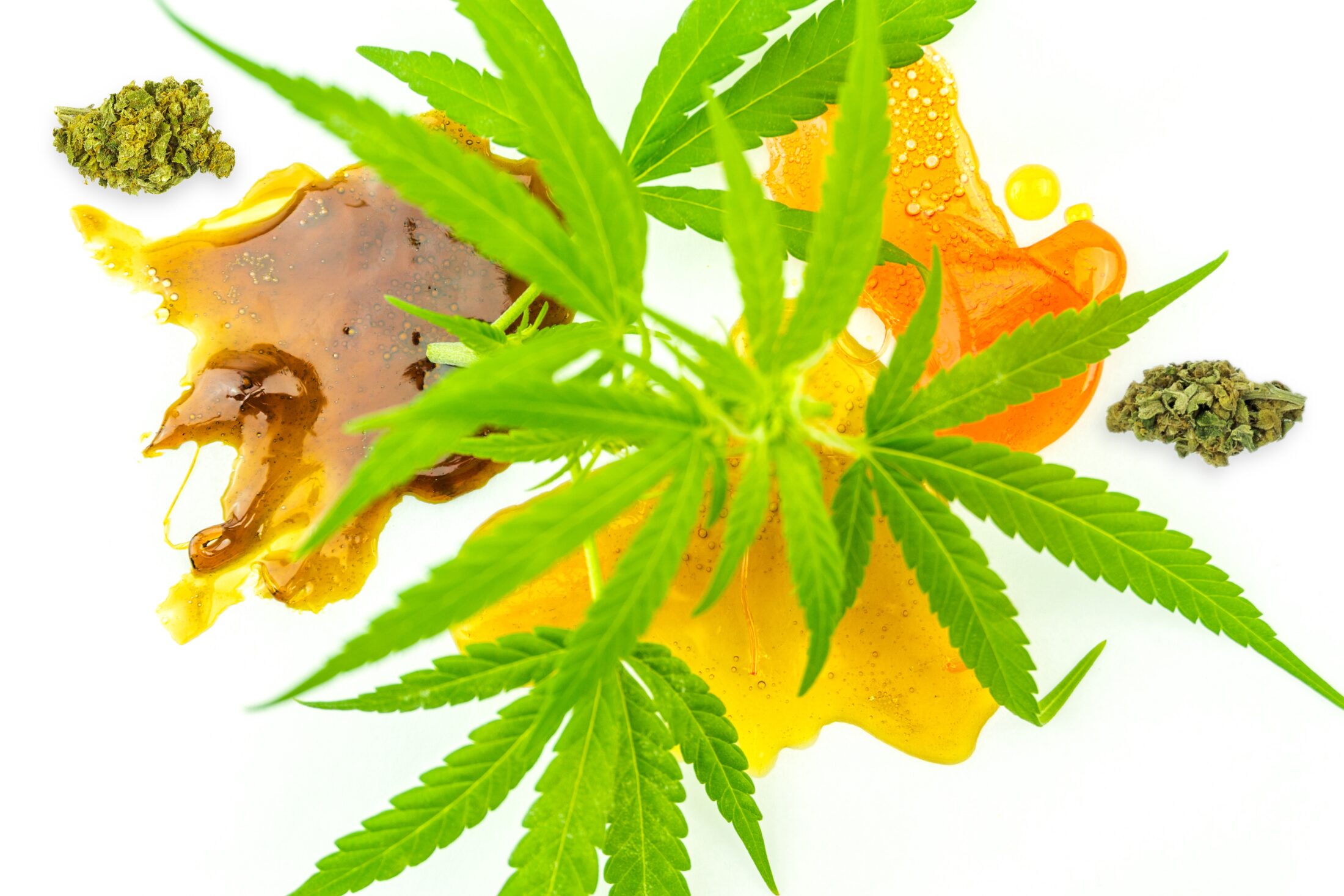 Various cannabis cbd and thc dab shatter rosin